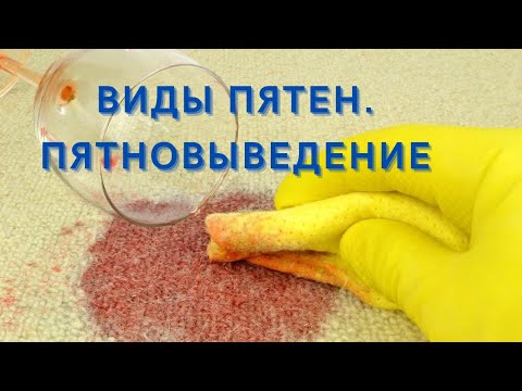 Виды пятен. Пятновыведение. Основы. Где заказать химию?
