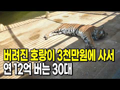 호랑이, 사자, 곰 버려진 동물로 시골에 동물원 만든 35살 | 강릉쌍둥이동물원 | 휴먼스토리 | 현장속으로