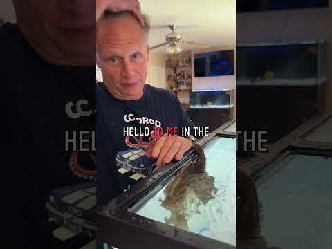 My octopus squirts me in the face