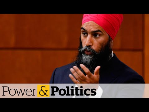 Singh won't apologize for calling Bloc MP racist | Power & Politics