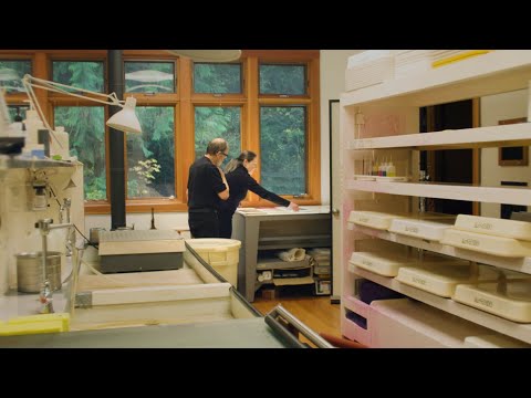 The Making of a Dye-Transfer | William Eggleston