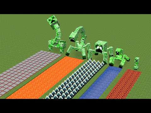 Which creeper will be the fastest ?