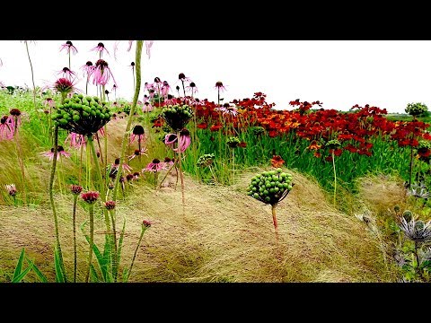 How landscape designer Piet Oudolf captures nature's ‘emotion'