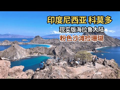 科莫多出海，登陆现实版海拉鲁大陆、看科莫多巨蜥、浮潜追海龟！ 【痒痒看世界】#印尼  #科莫多巨蜥 #粉色沙滩 #旅行vlog #小众旅行地
