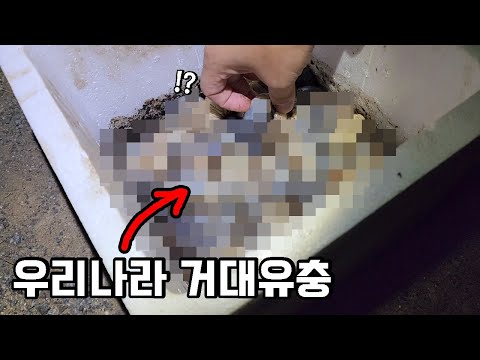 구독자님께 제보받고 갔는데...헉!! 기증해주셔서 너무 감사합니다.