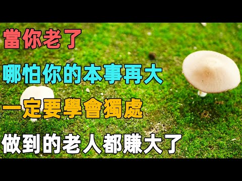 當你老了，哪怕你的本事再大，一定要學會獨處，做到的老人都賺大了｜聆聽心語