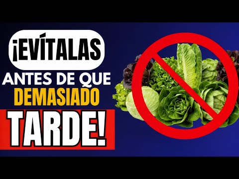 4 Verduras "Sanas" Que Son Veneno Para Un Riñón Debilitado