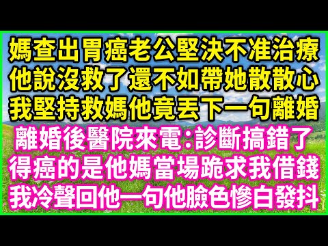 媽查出胃癌老公堅決不准治療，他說沒救了還不如帶她散散心，我堅持救媽他竟丟下一句離婚，離婚後醫院來電：診斷搞錯了！得癌的是他媽當場跪求我借錢，我冷聲回他一句他臉色慘白發抖！#情感故事 #花開富貴