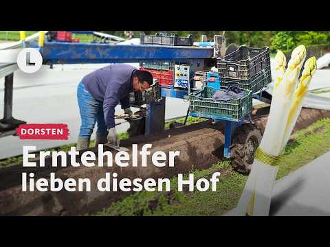 Wie ein Hof Fachkräfte an sich bindet | WDR Lokalzeit LandSchafft