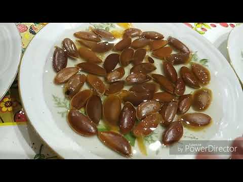 Осень - лучшее время посадки хурмы косточкой в домашних условиях.