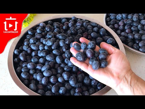 How to Make Black Olives? How to Flavor Black Olives? RECIPES