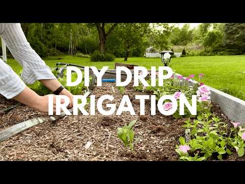 How to Install a Drip Irrigation System for Raised Garden Beds | Step-by-Step DIY Guide