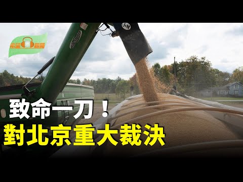 致命一刀！對中南海重大裁決；川普：以哈達成和平計畫第一階段協議；前FBI局長科米出庭對兩項聯邦指控不認罪；美國主流媒體報導于朦朧案：削弱中共合法性【希望聽新聞】