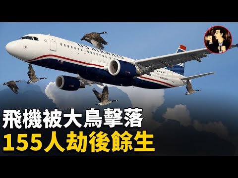 【US 1549 air disaster】Plane was shot down by  birds, 155 people survived-- Miracle on the Hudson