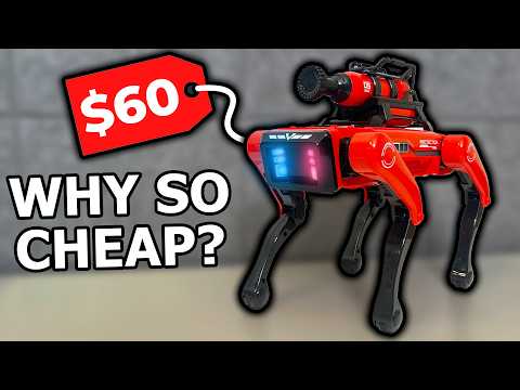 I bought a ROBOT from TEMU...? 😬