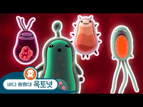 바다 탐험대 옥토넛 - 미생물 - 모음집