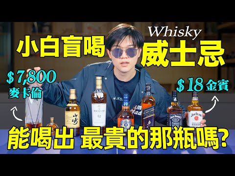 一杯1元到一杯1000元的酒：盲猜能分辨出來嗎？｜小白盲喝威士忌｜@卡司故事 &@索菲亚一斤半Sophia1.5  LKs