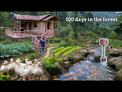 Build houses, fish ponds, farms, hydroelectric plants, build a solitary secluded life in the forest
