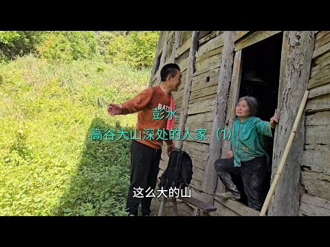 六旬大娘独自一人在大山放牛 她非常喜欢大山，在上面过着自给自足的生活，这样的生活你们向往吗？
