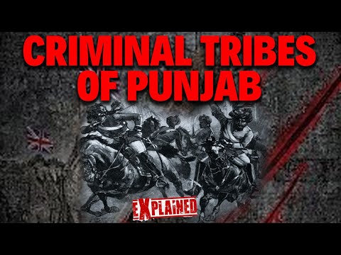 Who were ex-Criminal Tribes in Punjab? पंजाब की आपराधिक जनजातियाँ I List & Details