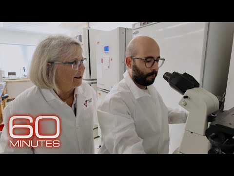 Battle between Trump and universities hurting scientific research in need of federal funding