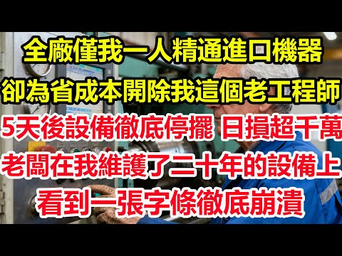 全廠僅我一人精通進口機器,卻為省成本開除我這個老工程師。5天後設備徹底停擺,日損超千萬。老闆在我維護了二十年的設備上,看到一張字條徹底崩潰#情感 #爽文 #職場 #生活 #總裁