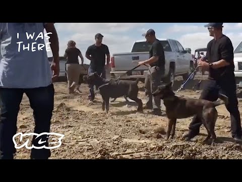 What Really Happened at Standing Rock | I Was There