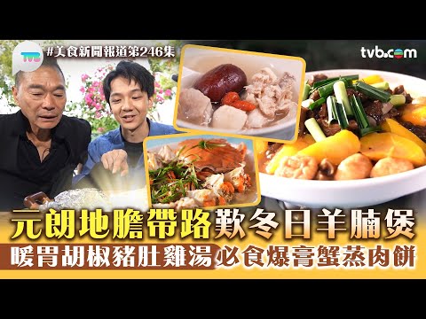 美食新聞報道｜元朗地膽帶路歎冬日羊腩煲！暖胃胡椒豬肚雞湯+必食爆膏蟹蒸肉餅｜TVB Plus