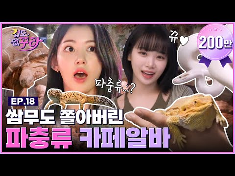 Sakura X Chae Won 🐢From tortoises to snakes🐍 Reptile cafe challenge