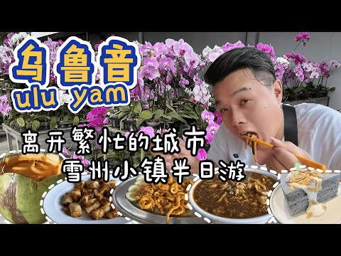 走入大自然小镇乌鲁音Ulu Yam悠闲自在半日游/卤面之乡少不了要吃的卤面/偷闲来个田园下午茶/欣赏美丽鲜艳的蝴蝶蘭/云顶山脚隐藏美食冬炎椰子虾