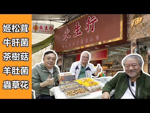 中藥篇 17｜姬松茸 牛肝菌 茶樹菇 羊肚菌 蟲草花