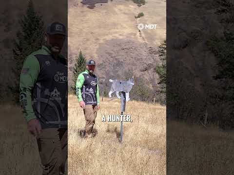 Where to aim at a target