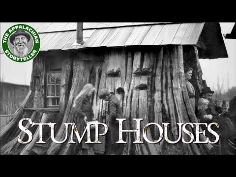 The History of Stump Houses