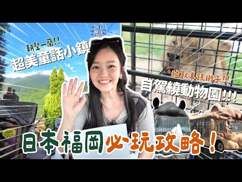 【日本福岡EP.3】必玩必吃攻略!一天3000元的市區房💖自駕逛動物園!還可以坐猛獸車🦁由布院超美童話小鎮🥨一蘭會跳舞?