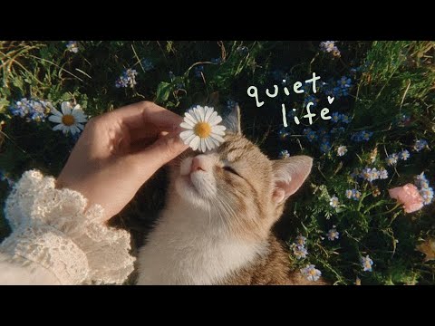 a quiet playlist for quiet people 🌱🐈🌼