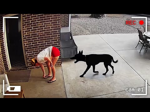 Caught in 4K! Funniest Security Camera Fails