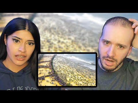 Brits Shocked by What Happens If Someone Invades the U.S.