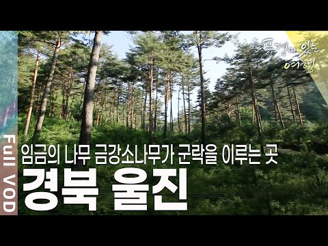 붉은 대게의 고향. 아늑한 오솔길. 각종 볼거리와 먹을거리로 가득한 울진으로 떠나본다 [풍경이있는여행 KBS 20110716 방송]