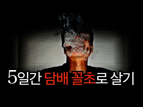 5일 동안 비흡연자가 담배 골초로 살면 어떻게 될까?