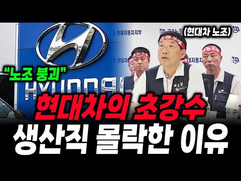 "현대차 노조 붕괴 신호탄" 현대차 초강수에 임직원 발칵, 생산직이 몰락한 충격적 이유