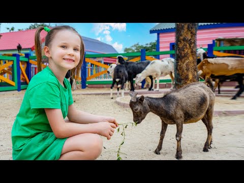 Copiii Întâlnesc Multe Animăluțe! Învață Numele lor și Reguli de Comportament