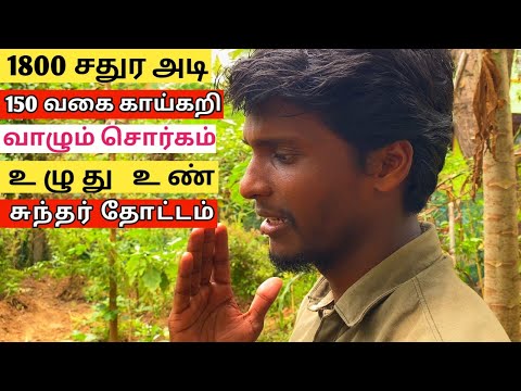 1600 சதுர அடியில் இயற்கை கடவுளின் தோட்டம் 150 தாவரங்கள் அரியவகை காய்கறிகள் #உழுதுஉண்சுந்தர்