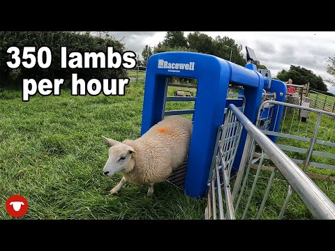 TE PARI Racewell DR3...  First time setup and use!