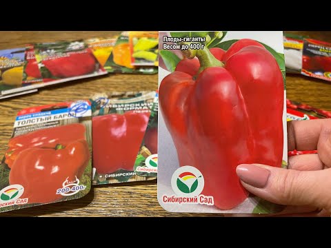 САМЫЙ УРОЖАЙНЫЙ ПЕРЕЦ ДЛЯ 2022г. Крупноплодный, толстостенный и скороспелый!