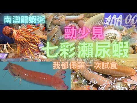 七彩瀨尿蝦😍睇個樣真係幾靚,第一次試食下🤭再有$2xx一斤南澳龍,又買左隻煲下粥🥰~fishcutting香港海鮮~社長遊街市Seafood