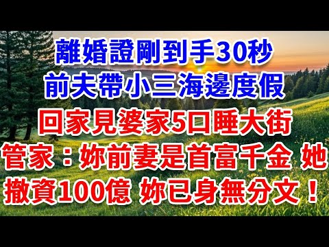 離婚證剛到手30秒，前夫帶小三海邊度假，回家見婆家5口睡大街，別墅管家：妳前妻是首富千金，她撤資100億，妳已身無分文！#詩涵講故事#為人處世#生活經驗#情感故事#晚年哲理#說故事#完結文#原創故事