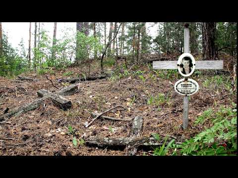 The Forest Was Silent... But the Graves Watched | An Eerie Visitation of the Departed