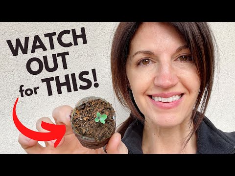 SEED STARTING & What You NEED to know about Coconut Coir