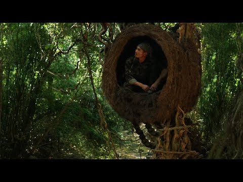 Camping Alone In Heavy Rain, Sun, Wind, Build a Bird's Nest, Relax| Primitive Villa