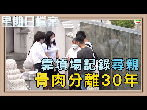 墳場揭開親人真相 尋親者的最後希望 墳場登記冊｜新聞 | 時事 | 資訊節目 | 星期日檔案｜Sunday Report